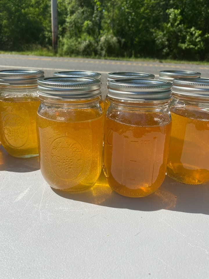 Honey (Bi-weekly or Weekly) CSA Add-on